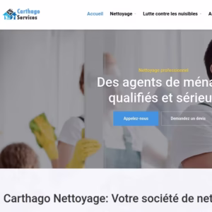 Site Professionnel